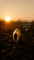 Baya d'abondance
