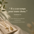 Foi & Lumière