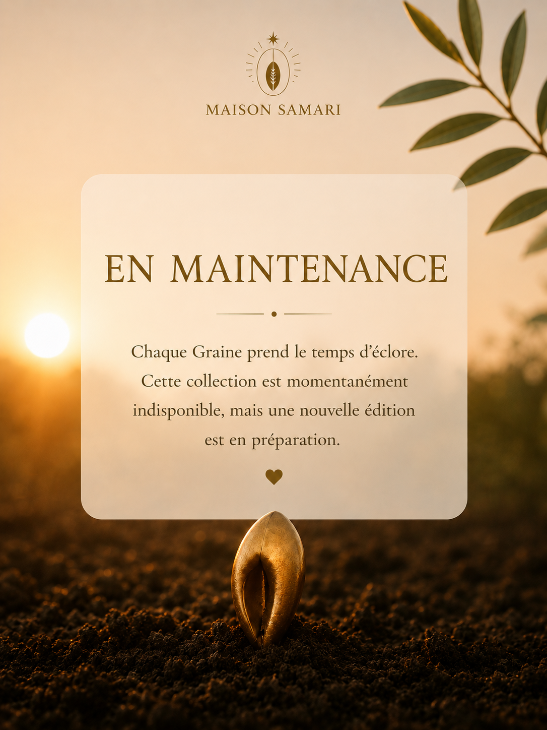 Baya d'ancrage