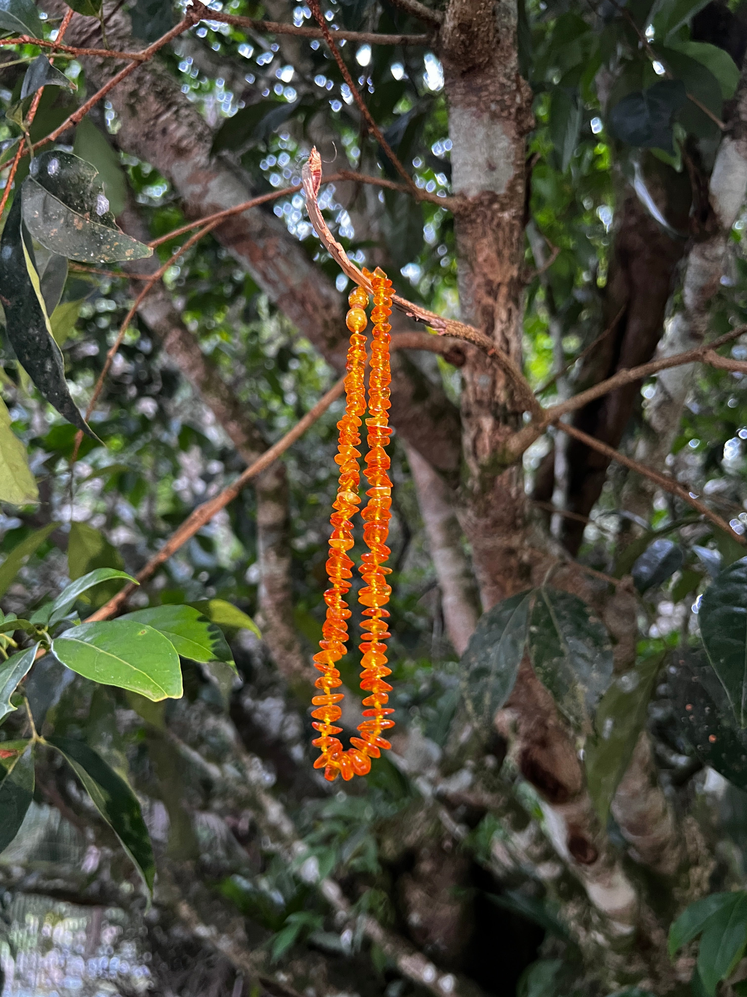 Collier d'ambre pour bébé - perle chips